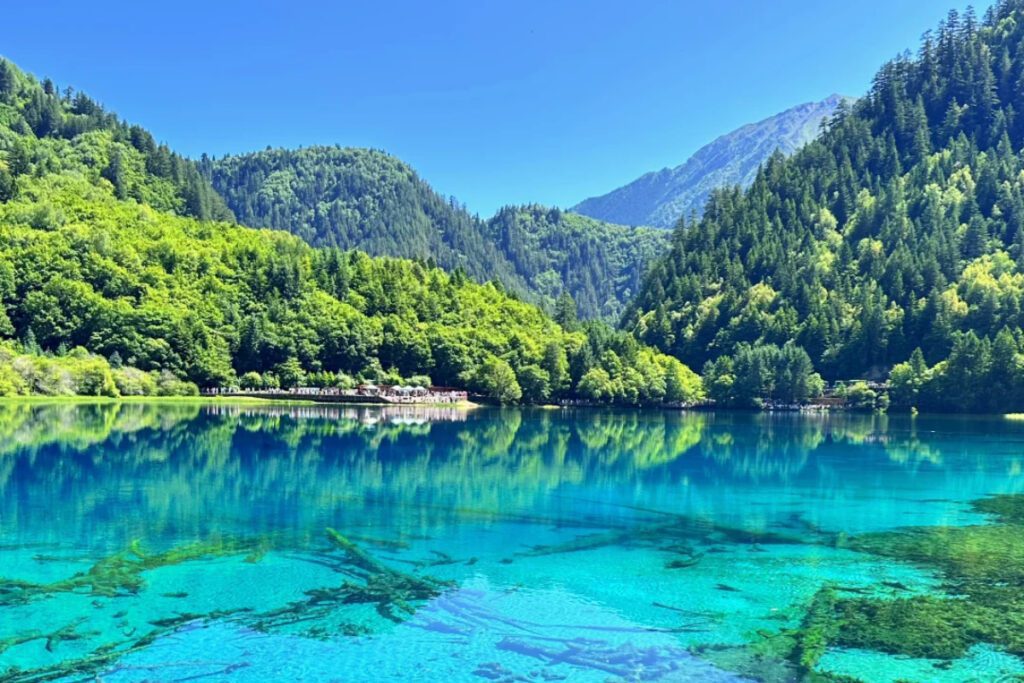 Jiuzhaigou Ruoergai Highlight 8 Days|Dujiangyan Panda Paradise, Huanglong, Zagana</trp-post-container