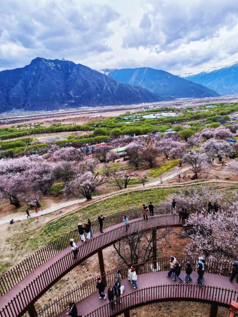 嘎拉桃花村 དགའ་ལ་|林芝・西藏景點介紹-林芝桃花節主場 - CITS China International Travel Service 嘎拉桃花村瞭望台看到的風景