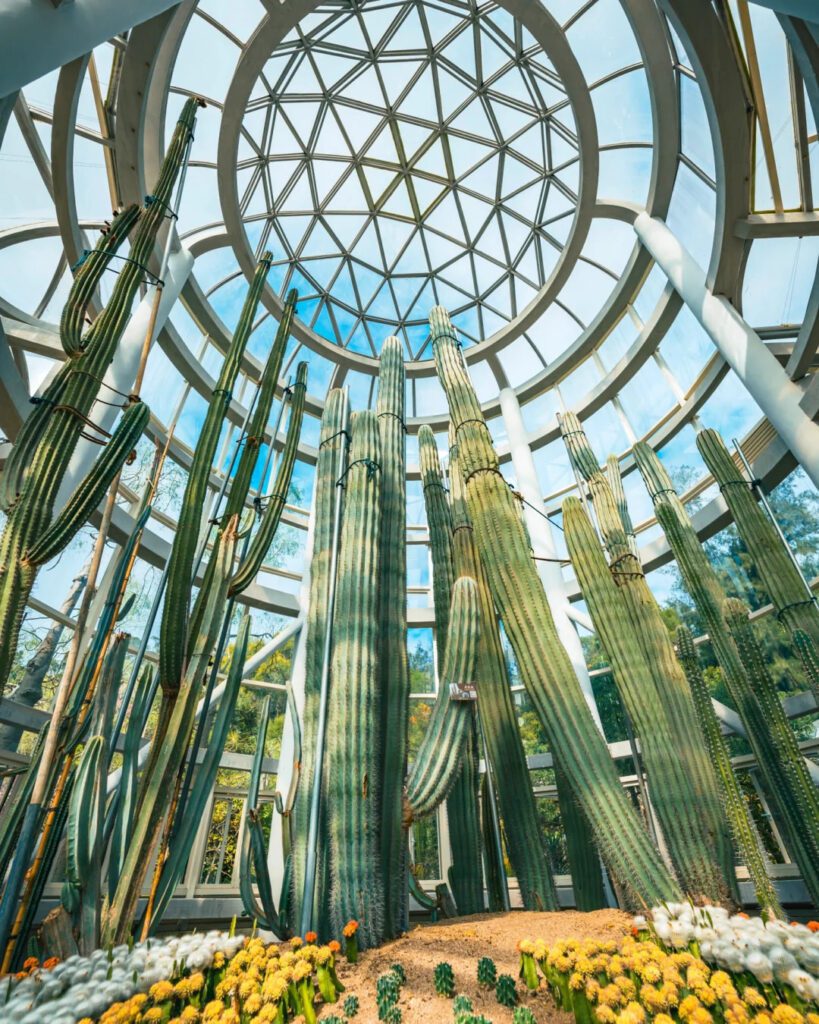 廈門旅遊攻略 2026|10大景點+行程規劃懶人包 - CITS China International Travel Service 廈門園林公園是城市綠洲中的萬種風情