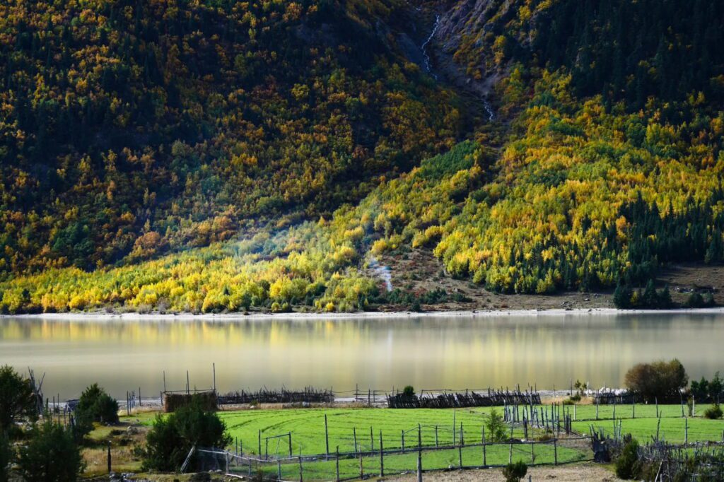 然烏湖 རང་ཝུ་མཚོ་|波密・西藏景點介紹-G318上的高原明鏡 - CITS China International Travel Service 然烏湖秋天