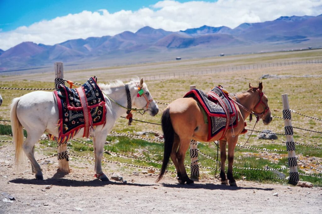納木錯 གནམ་མཚོ་|西藏三大聖湖之一・西藏景點介紹 - CITS China International Travel Service 納木錯 騎馬