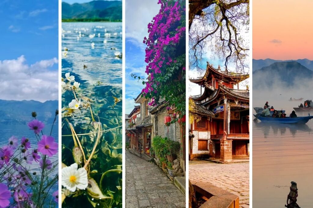 Yunnan Travel Fee|Best Season, Must-see Attractions and Classic Routes - CITS China International Travel Service Yunnan Four Seasons Scenery Puzzle, including poplar flowers in Lake Tanggu, streets and lanes of Lijiang Old Town, and morning mist canoeing.