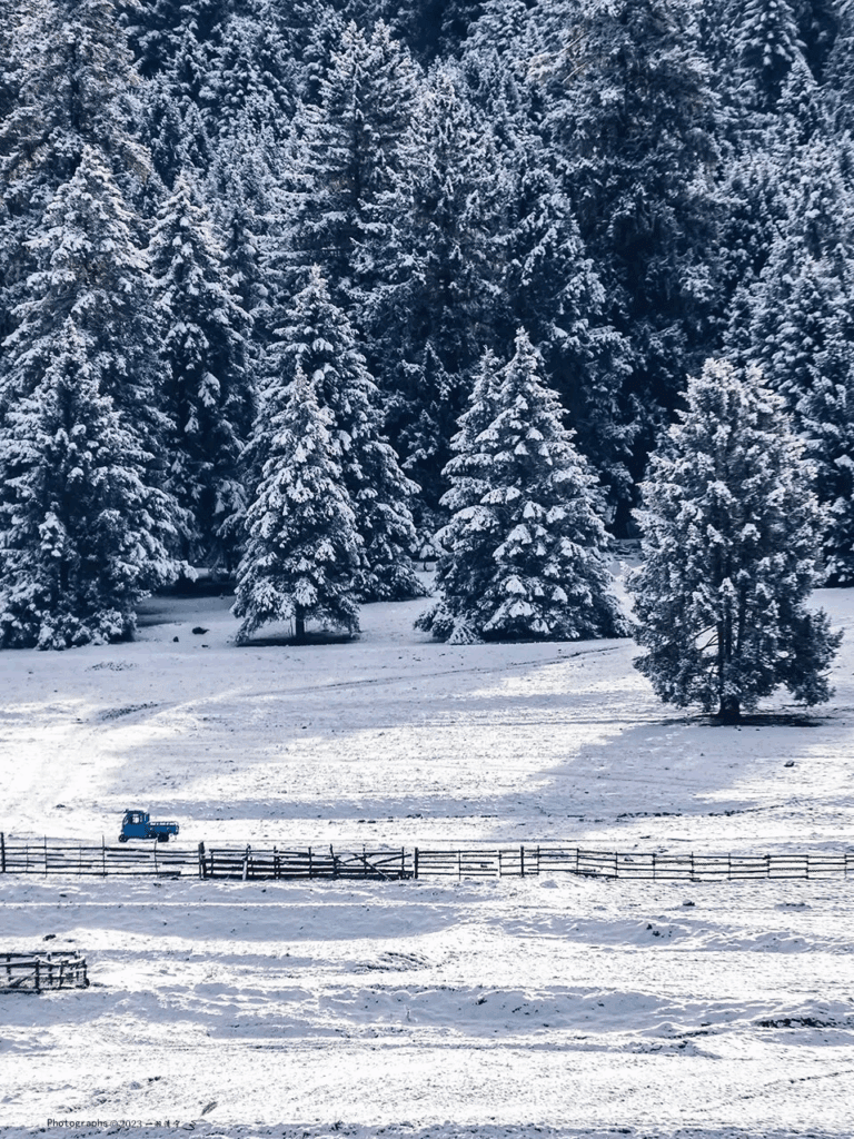 中國國旅獨家行程魯朗林海冬遊西藏下雪非常美