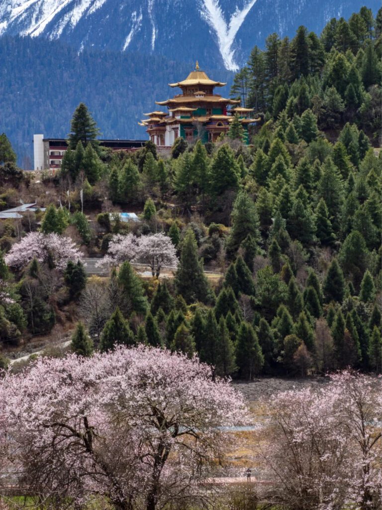 嘎朗湖湖畔桃花與王宮遠景-春天4月美景