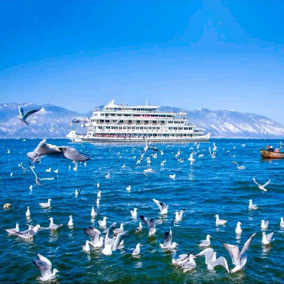 洱海行程景點