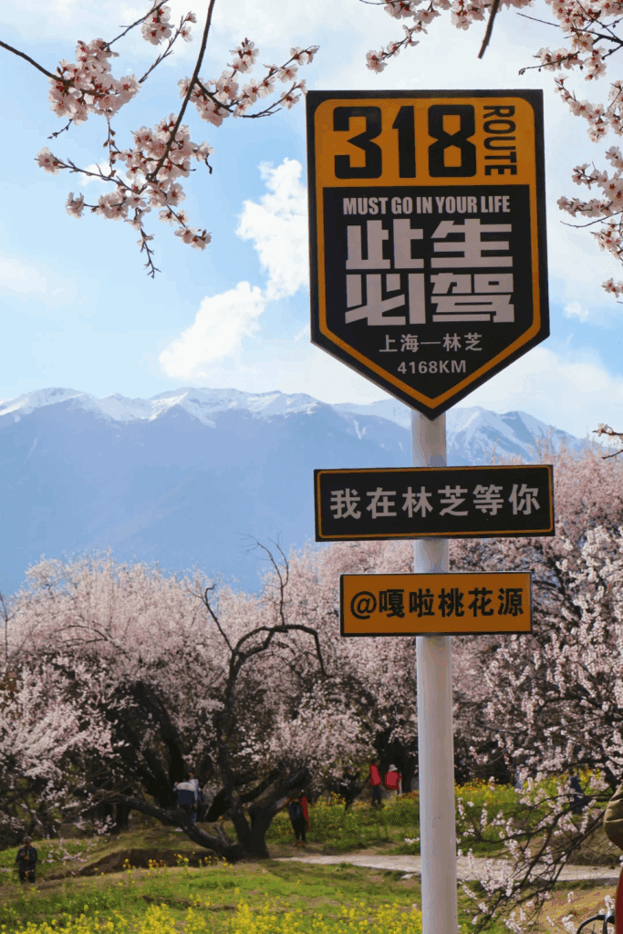嘎拉桃花村-西藏桃花節第一大景區