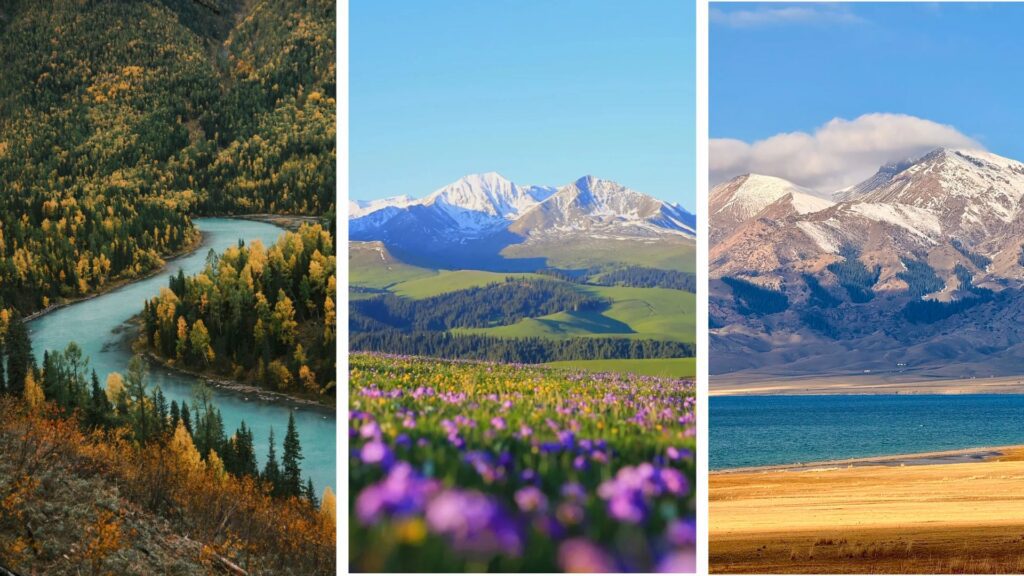 What's the difference between Xinjiang and Northern Xinjiang? Differences between North and South Xinjiang - CITS China International Travel Service What's the difference between Xinjiang and Northern Xinjiang? Differences between North and South Xinjiang | CITS China Travel Tour