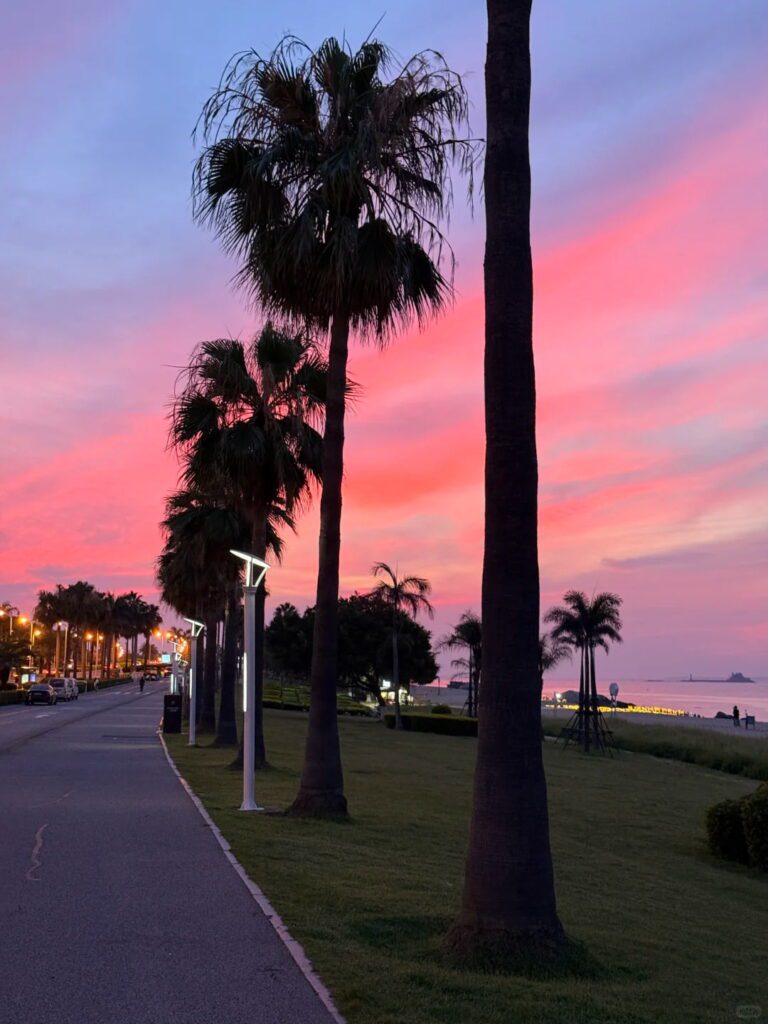 環島路｜最美海岸線的自由騎行