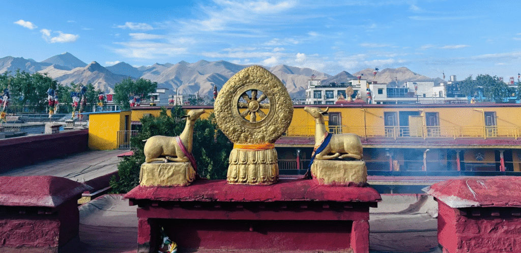 扎基寺的文化價值（Cultural Value）