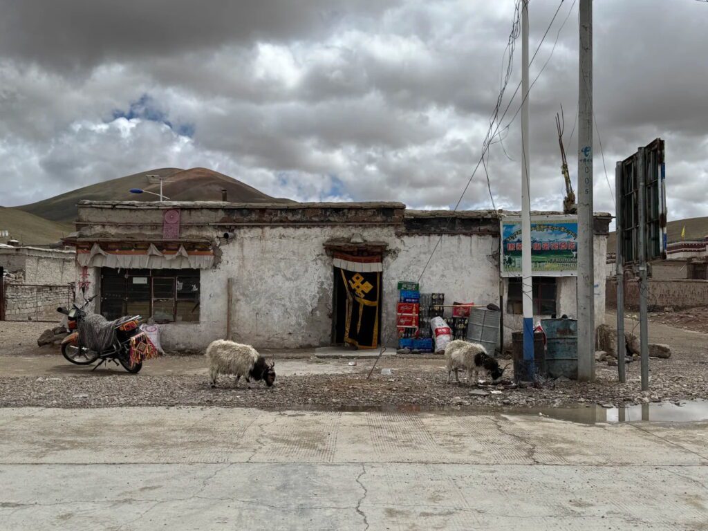 阿里住宿條件相差也是很大，一定要問清楚旅行社喔