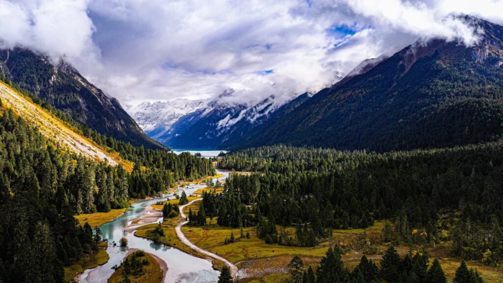 Is Tibet Safe to Travel in 2026? Altitude & Safety Guide – CITS China International Travel Service Linzhi has abundant greenery and low altitude, which is the most recommended itinerary for worrying about high altitude sickness.