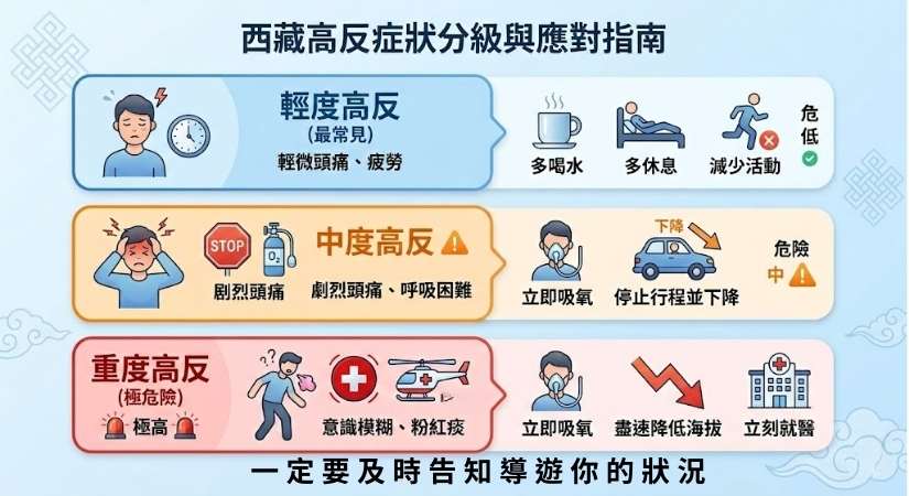 2026 西藏高原反應(高反)預防預防終極指南信息圖解，由中國國旅 China2Go (CITS) 製作。一站式涵蓋：症狀三級分級應對（輕度休息、中度吸氧、重度就醫下撤）；抵達頭三天生存法則（不洗頭洗澡、動作慢、清淡飲食禁菸酒、多喝水、不依賴吸氧）；高風險禁忌族群（感冒、心肺疾病、孕婦）；以及專業行程保障（希爾頓供氧酒店、隨車4L醫用級氧氣、純玩無氧氣店套路）。適用於拉薩、珠峰大本營、林芝等全西藏旅遊安全參考。