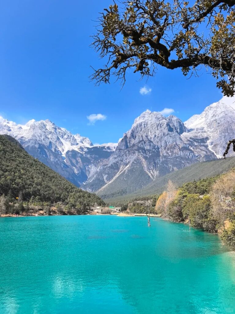 雲南麗江藍月谷湖面呈現飽和的翠藍綠色,清澈如玉,背景為終年積雪的玉龍雪山多座雪峰在晴空下清晰聳立,兩岸原始森林翠綠蒼勁,右上角老樹枯枝入鏡增添層次