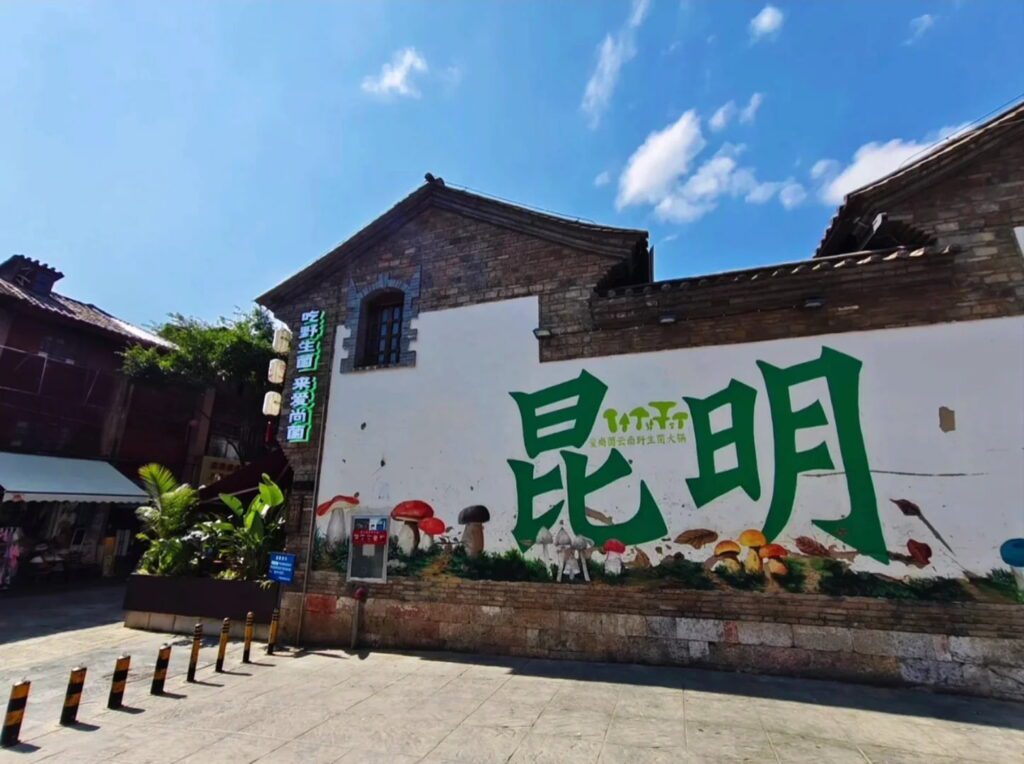 昆明老街歷史建築外牆上的大型彩繪壁畫,白牆上以墨綠色大字書寫「昆明」二字,下方繪有雲南野生菌菇插畫,左側紅磚舊建築掛有「吃野生菌.來愛尚菌」霓虹綠字招牌,晴空湛藍,街道寬敞乾淨