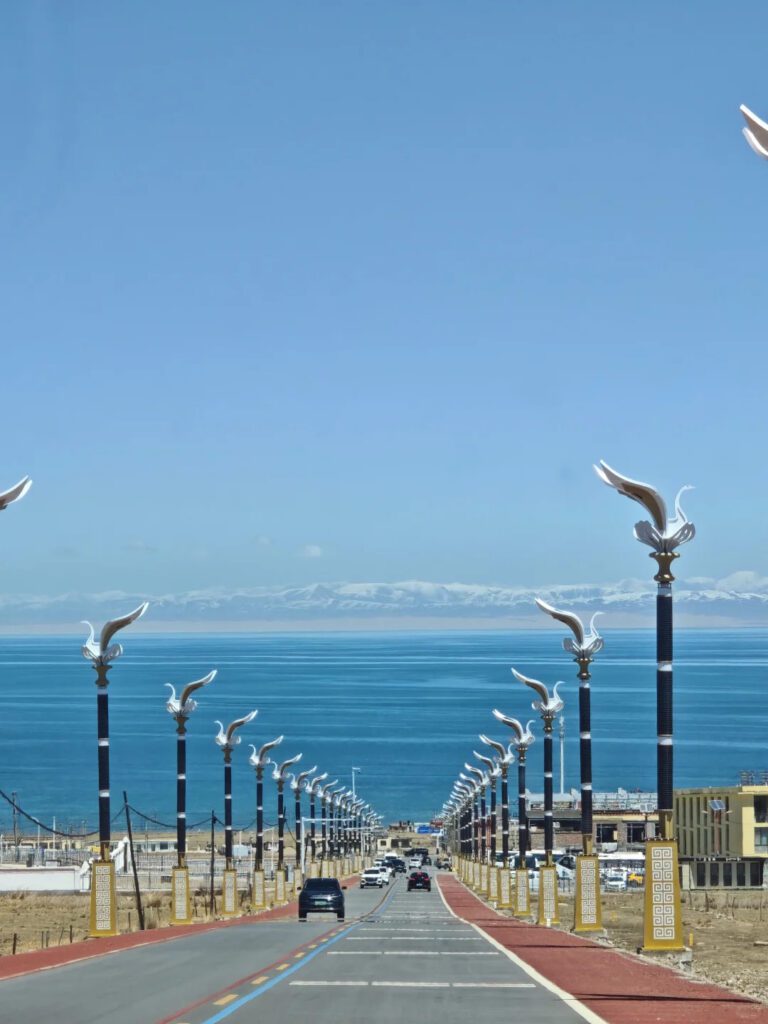 青海湖環湖西路高原公路延伸牦牛群與湛藍湖面,青海大西北風光