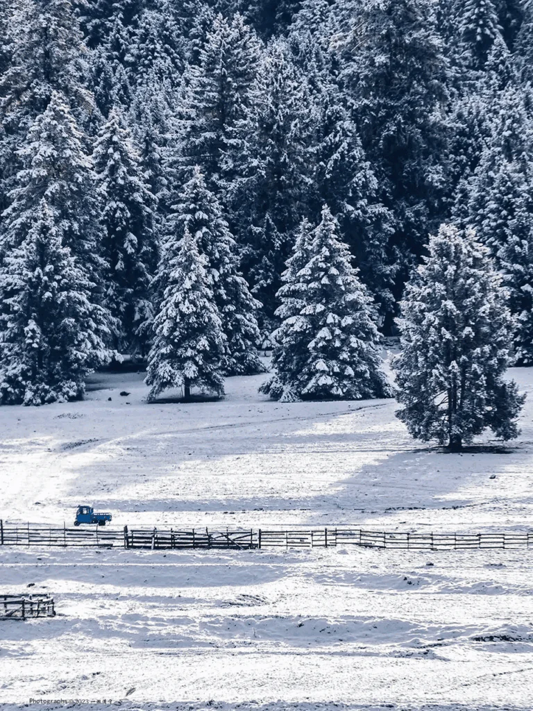 China International Travel Service Exclusive itinerary Lulang forest sea winter tour Tibet snow is very beautiful!