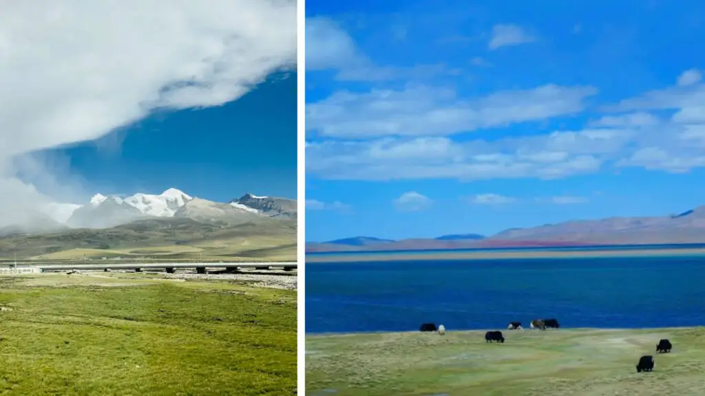 Malaysians must see! Tibet train in and out of Tibet: buying tickets, choosing carriages, plateau countermeasures - CITS China International Travel Service Scenery along the Qinghai-Tibet Railway