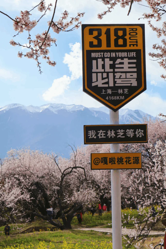 Gala Peach Blossom Village—A Must-Visit Destination in Tibet for China’s Largest Peach Blossom Festival
