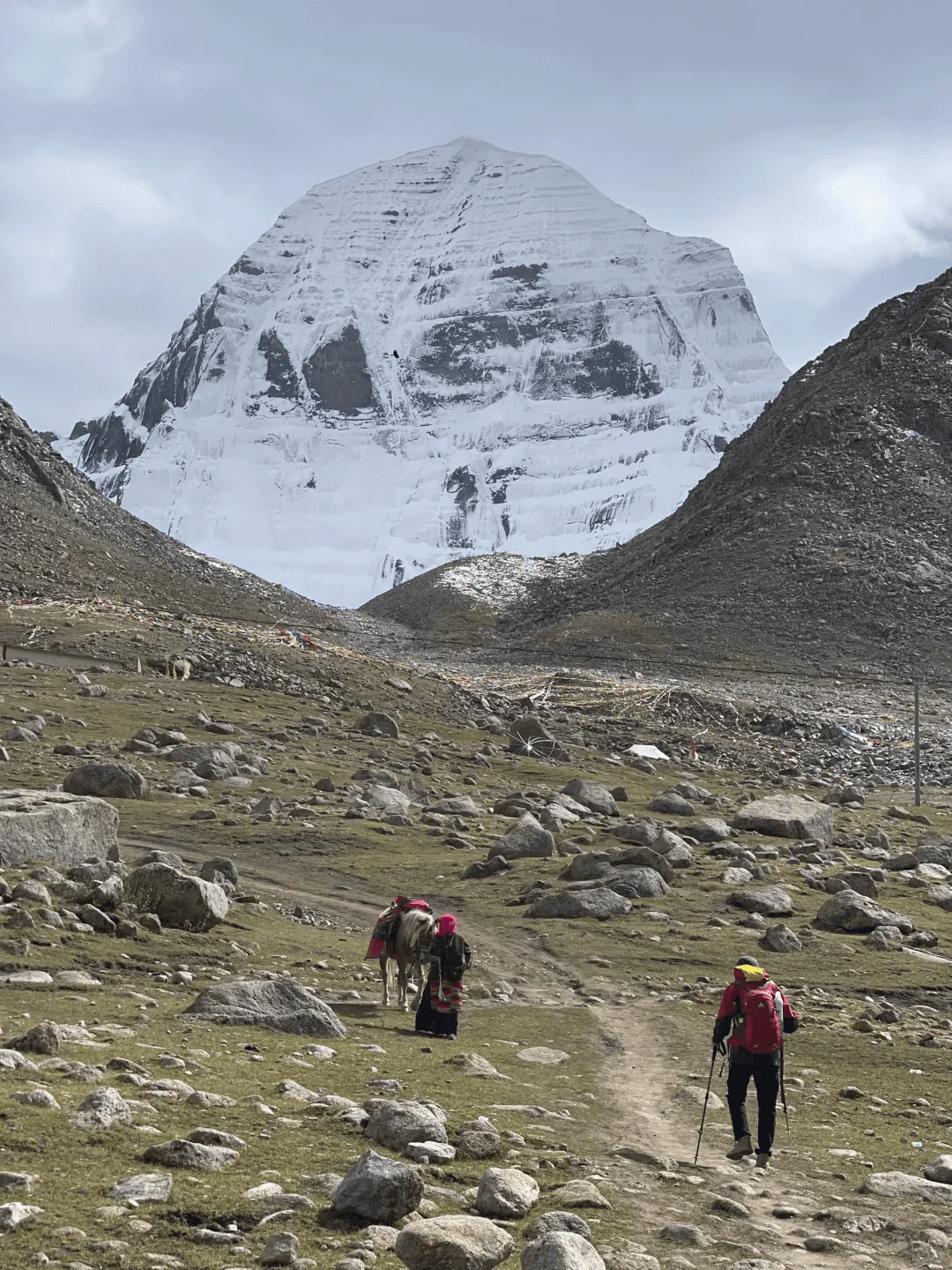 Ali mountaineering - China National Tourism dedicated cits horse mountaineering trolley full of 6 people