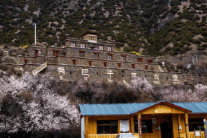 Xuba Castle - Recommended Peach Blossom Spots in Linzhi Xuba Castle - Recommended Peach Blossom Spots in Linzhi