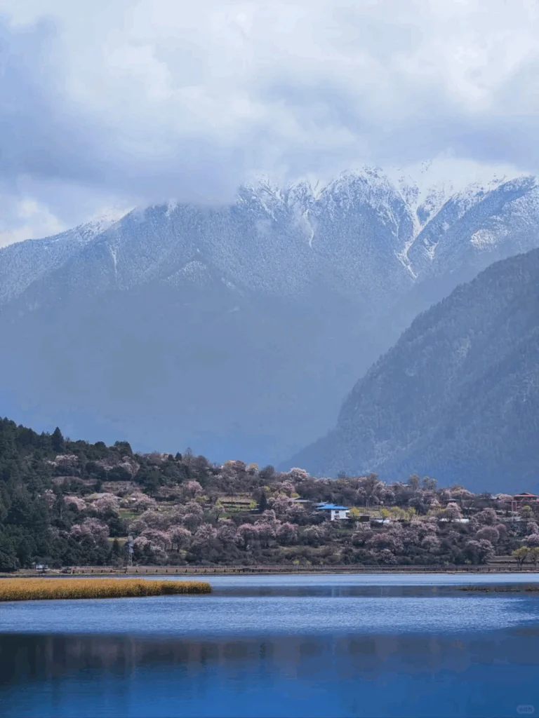 Garang Lake Reflects the Forest and Snow-Capped Mountains: A Hidden Gem Route for the Nyingchi Peach Blossom Season