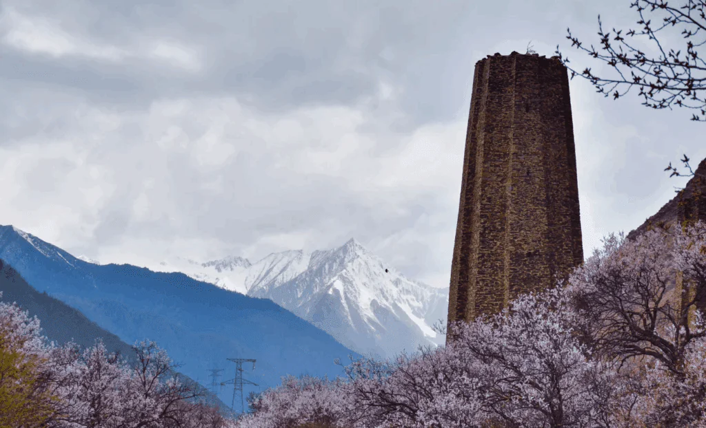 Xuba Castle-The Peach Blossom Festival trip does not usually come to this area, this is the beauty of the Tibetan attractions.