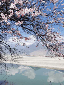 Beautiful view of Garang Lake on Peach Blossom Festival in Linzhi Beautiful view of Garang Lake on Peach Blossom Festival in Linzhi