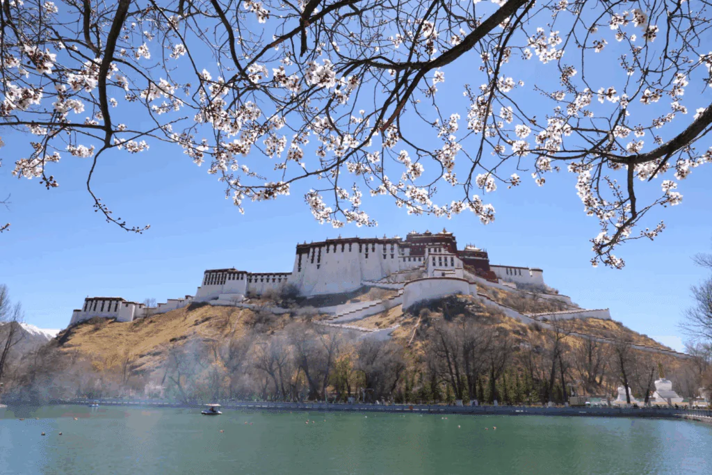 西藏旅行社推薦哪一家?台灣旅客報名前先看這4個標準|國旅環球-China2Go 林芝桃花