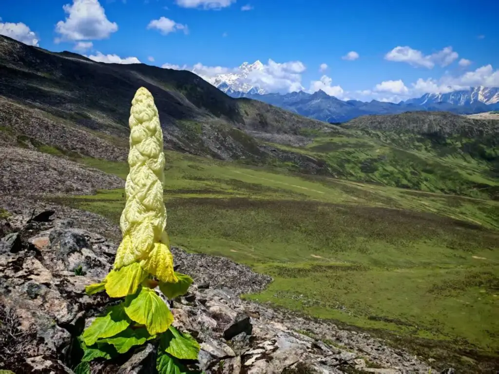 Tibet Travel Tips: From the Best Months to Preventing Plateau Sickness - CITS China International Travel Service Things to note when traveling in Tibet