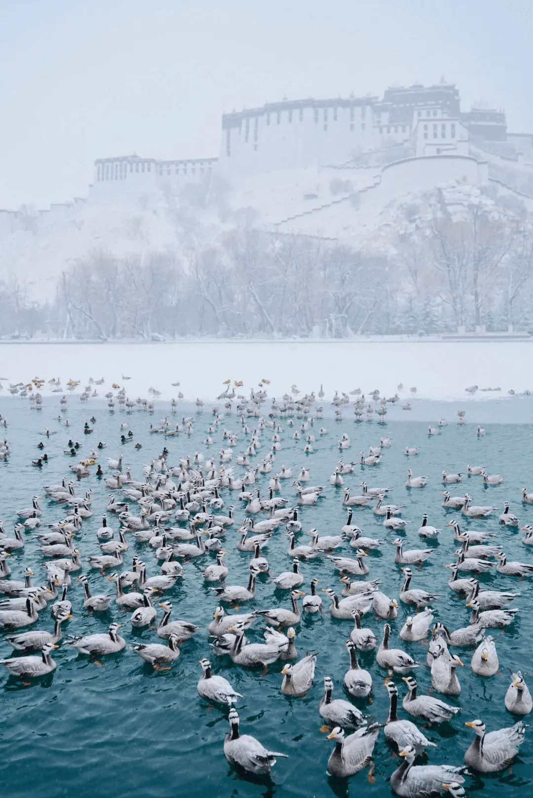 Top 5 Reasons to Visit Tibet in Winter Probably Because It's So Beautiful