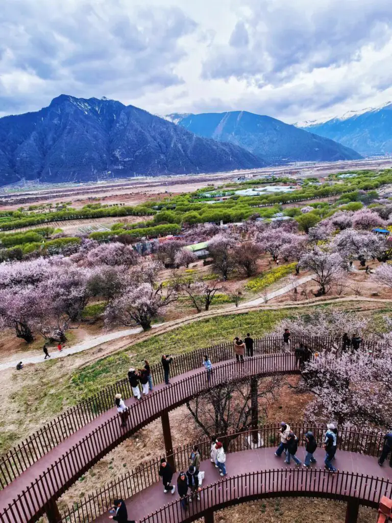 Gala Peach Blossom Village དགའ་ལ་|Nyingchi, Tibet Attractions—Main Venue of the Nyingchi Peach Blossom Festival|China2Go The view from the lookout point of Gala Peach Blossom Village