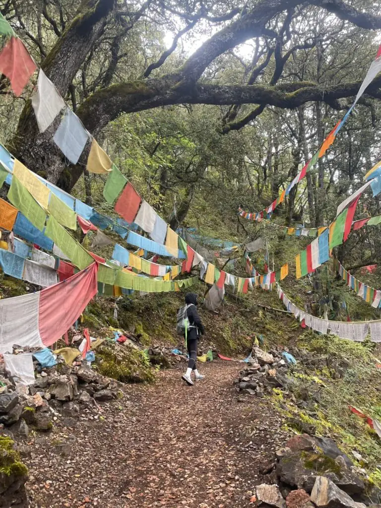Basong Co དཔའ་བསུས་མཚོ་ | Nyingchi, Tibet Attractions—A Paradise on Earth with a Temple in the Lake | China2Go Basom Tso Trans Lake
