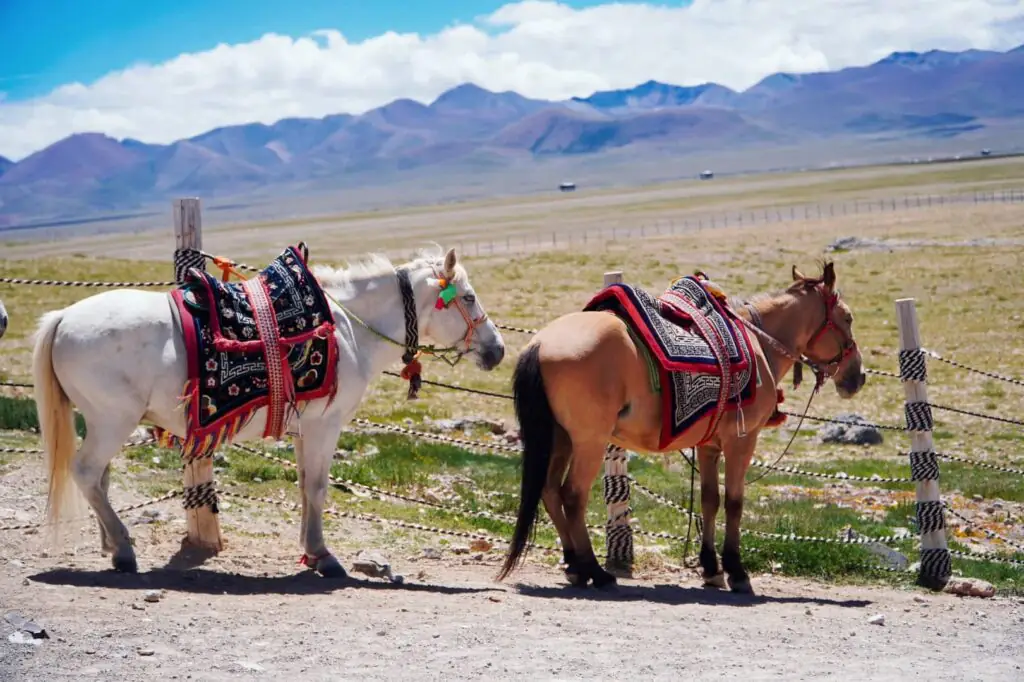 納木錯 གནམ་མཚོ་|西藏三大聖湖之一・西藏景點介紹|國旅環球-China2Go 納木錯 騎馬