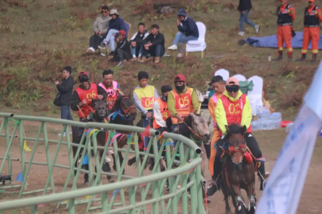 Lulang Town ཀླུ་གླང་ | Nyingchi, Tibet Attractions—The "Switzerland of Nyingchi" | China2Go Horse Racing 1