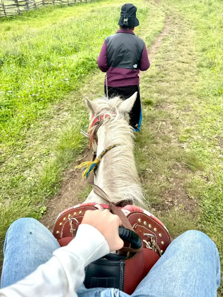 Lulang Town ཀླུ་གླང་ | Nyingchi, Tibet Attractions—The "Switzerland of Nyingchi" | China2Go Horseback Riding