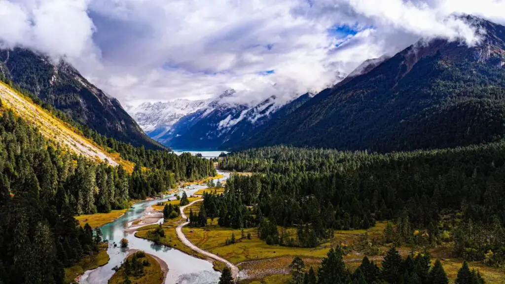 2026西藏旅遊安全嗎?台灣旅客必讀高山症與治安全解析 - CITS China International Travel Service 林芝綠色植物充沛海拔低,是擔心高反最推薦的行程喔