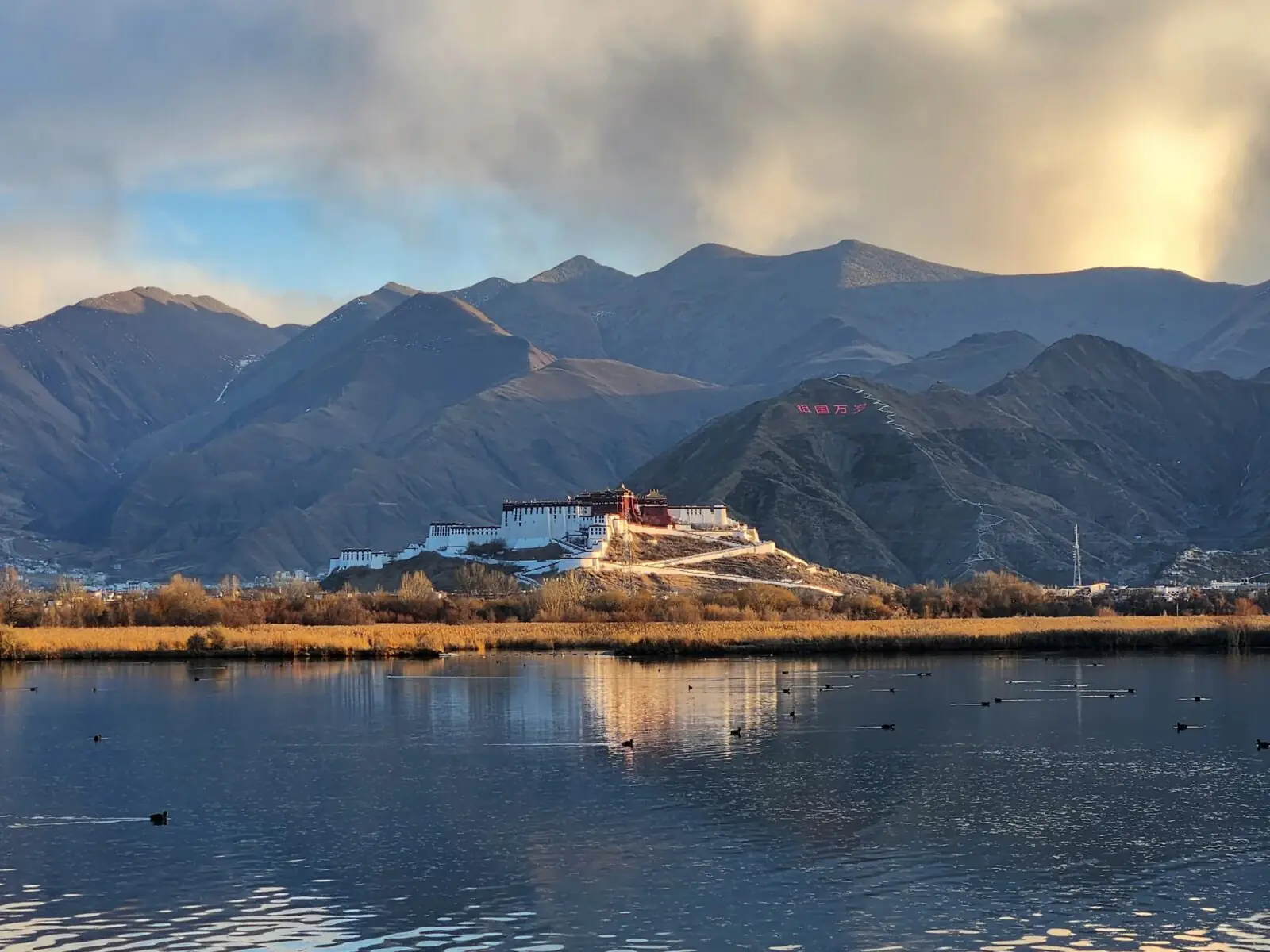 Is Tibet safe to travel? This is one of the biggest concerns for many people planning a trip to Tibet. After reading this guide, you’ll have a clear understanding of how safe it really is.